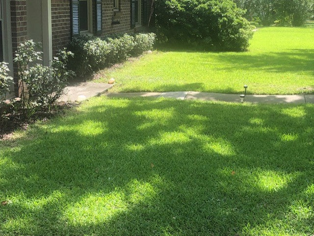 Lawn Mowing, Trimming & Edging Service