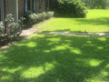Lawn Mowing, Trimming & Edging Service