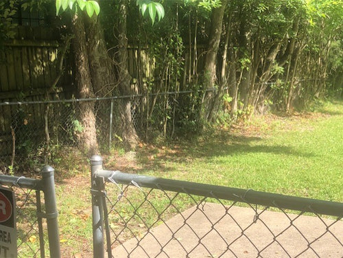 Lawn Mowing, Trimming & Edging Service