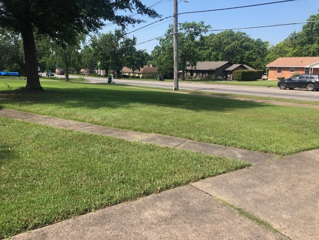 Lawn Mowing, Trimming & Edging Service