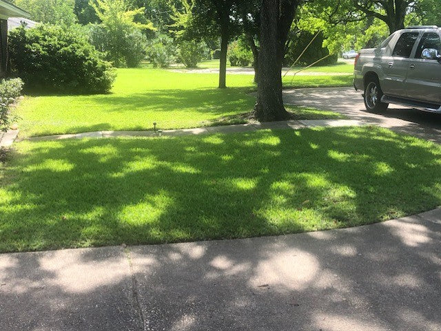 Lawn Mowing, Trimming & Edging Service